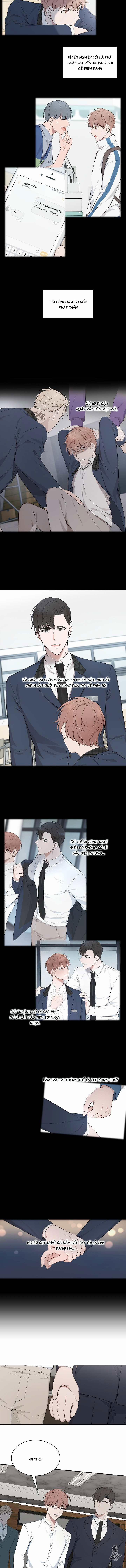 Vùng Vẫy 43 trang 6