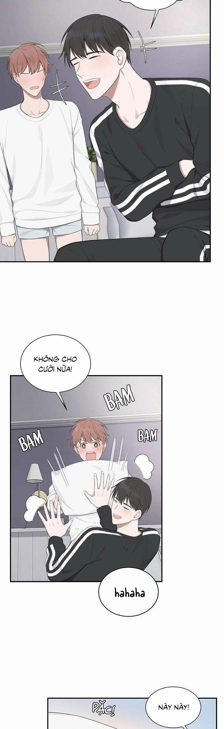 Vùng Vẫy 8 trang 5