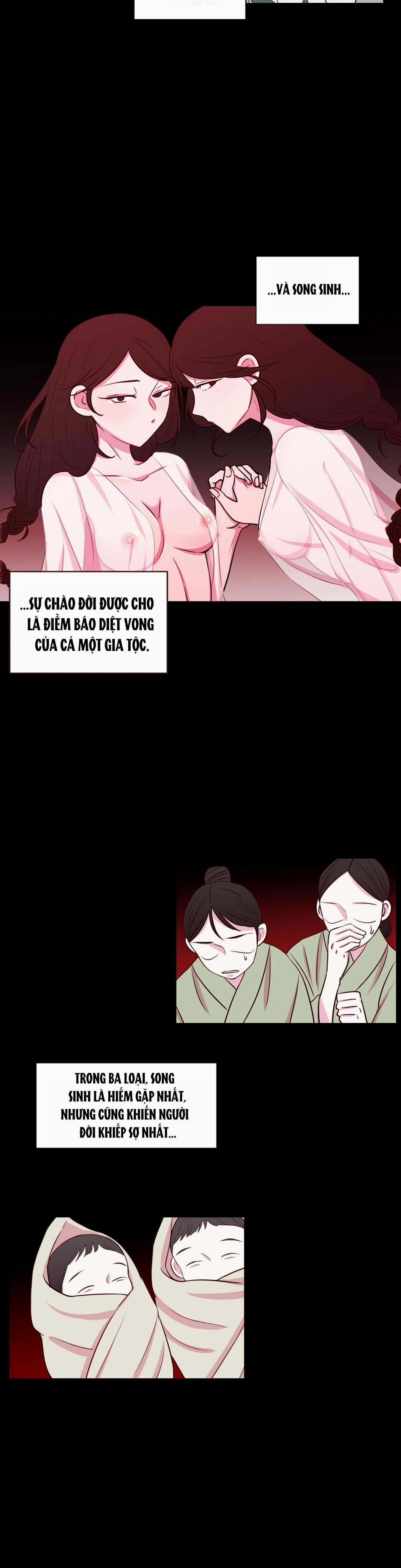 Vườn Ánh Trăng 11 trang 8