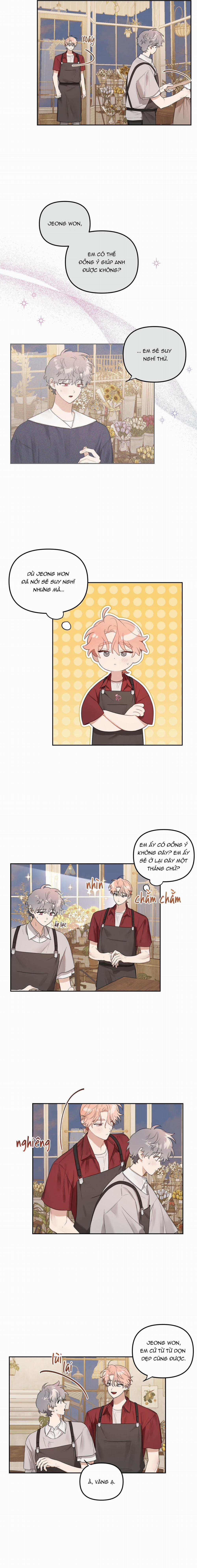 Vườn Nhà Có Hoa 39 trang 3