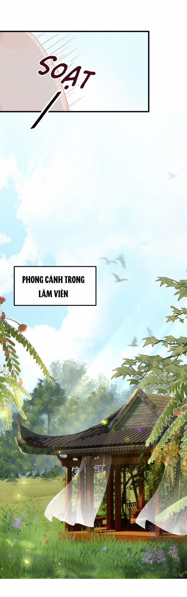 Vương Phi Này Là Nam Nhân Chương 14 Trang 20