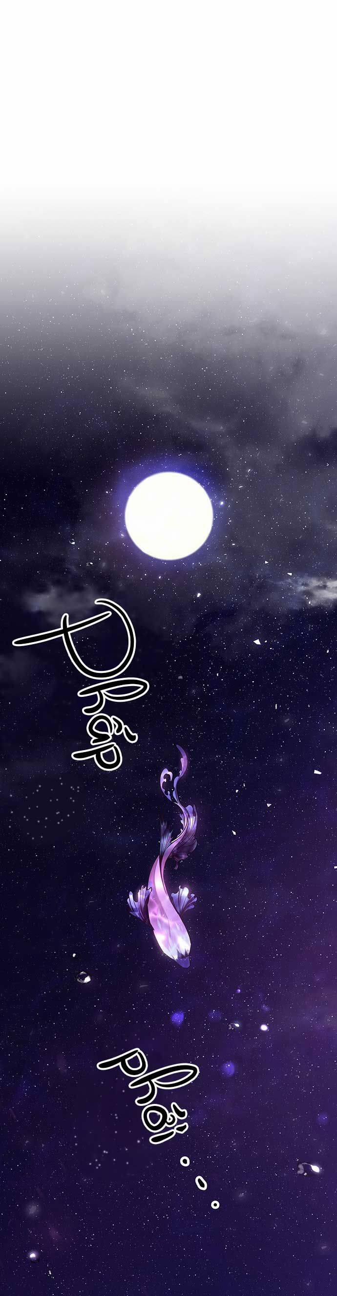 Vương Tử Huyền Bí 18 trang 29