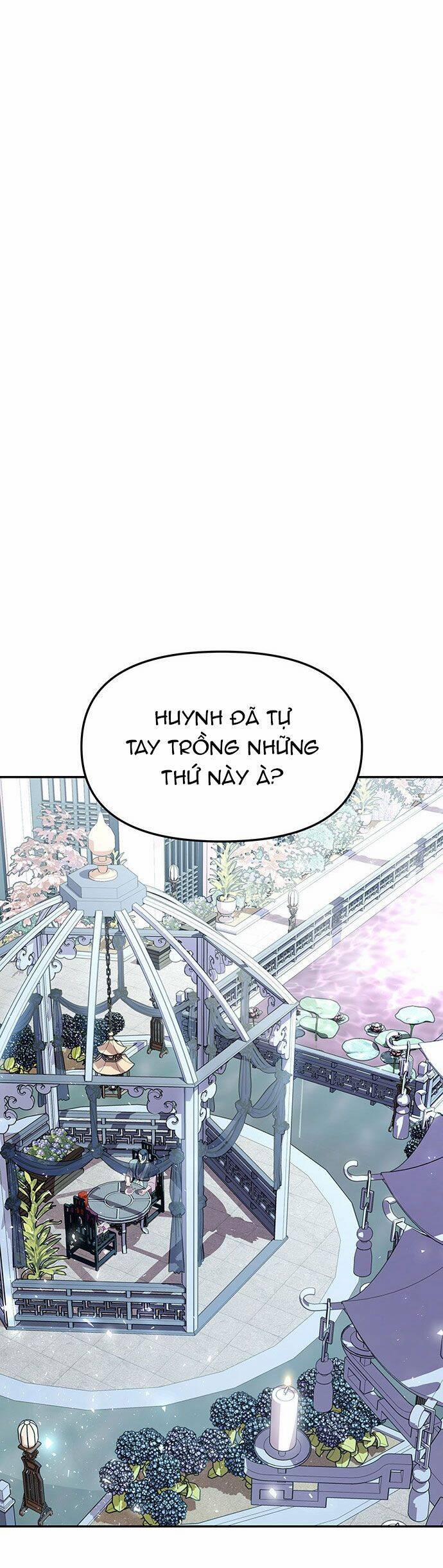 Vương Tử Huyền Bí 25 trang 5