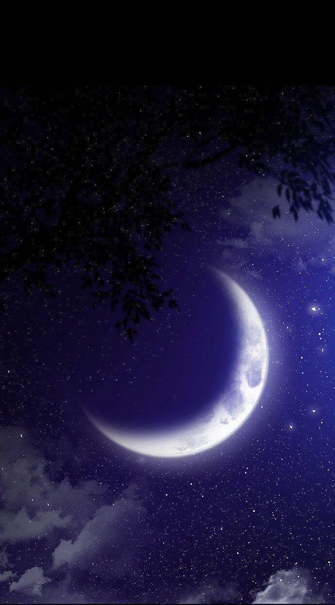 Vương Tử Huyền Bí 32 trang 15