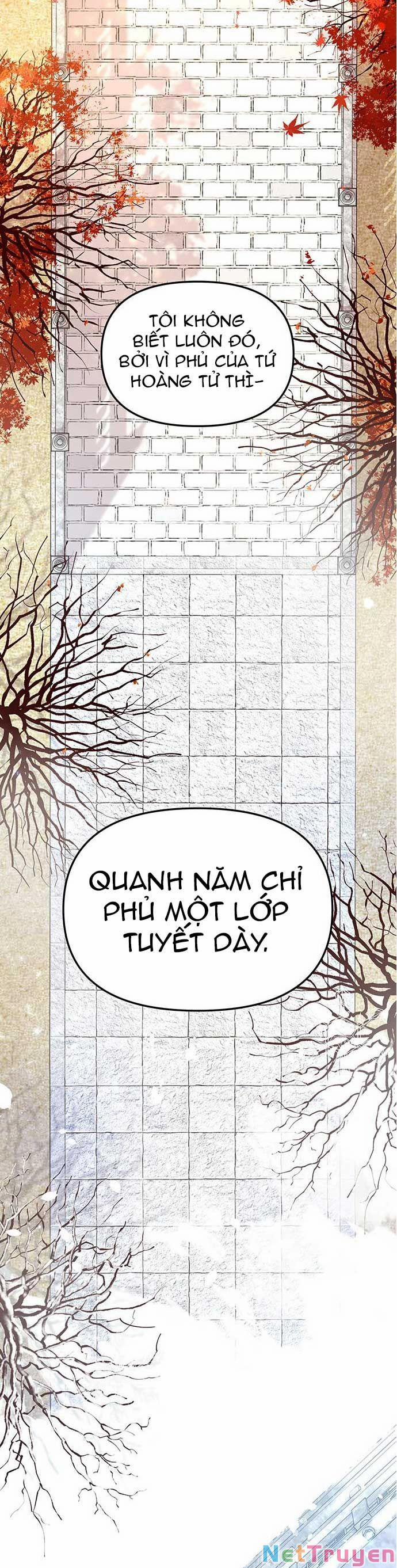 Vương Tử Huyền Bí 4 trang 1