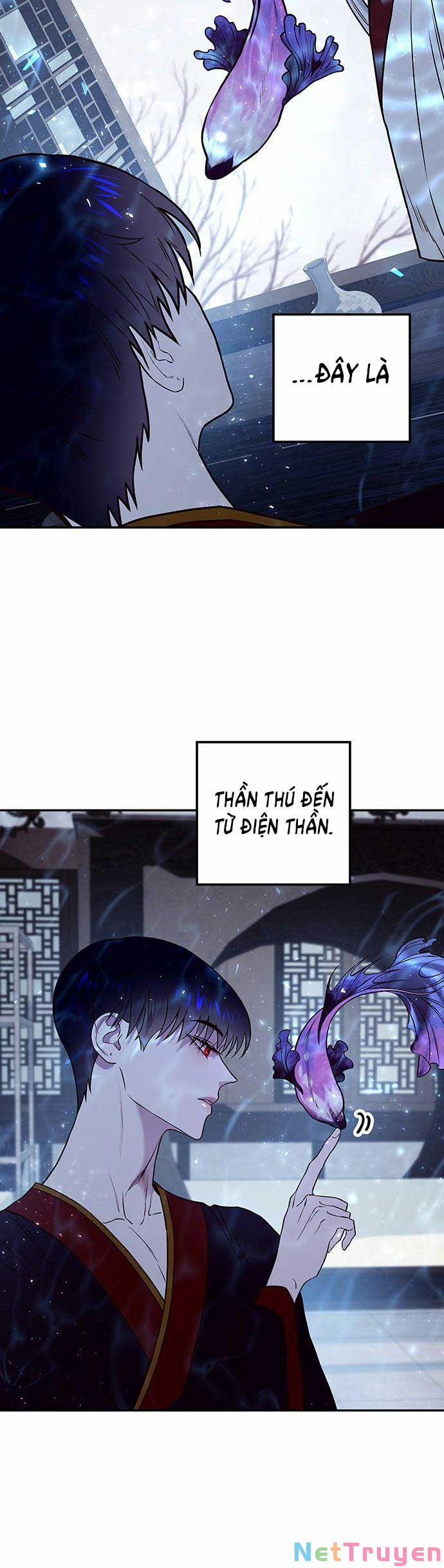 Vương Tử Huyền Bí 4 trang 29