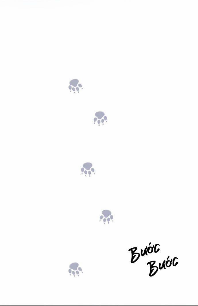 Vương Tử Huyền Bí 42 trang 18