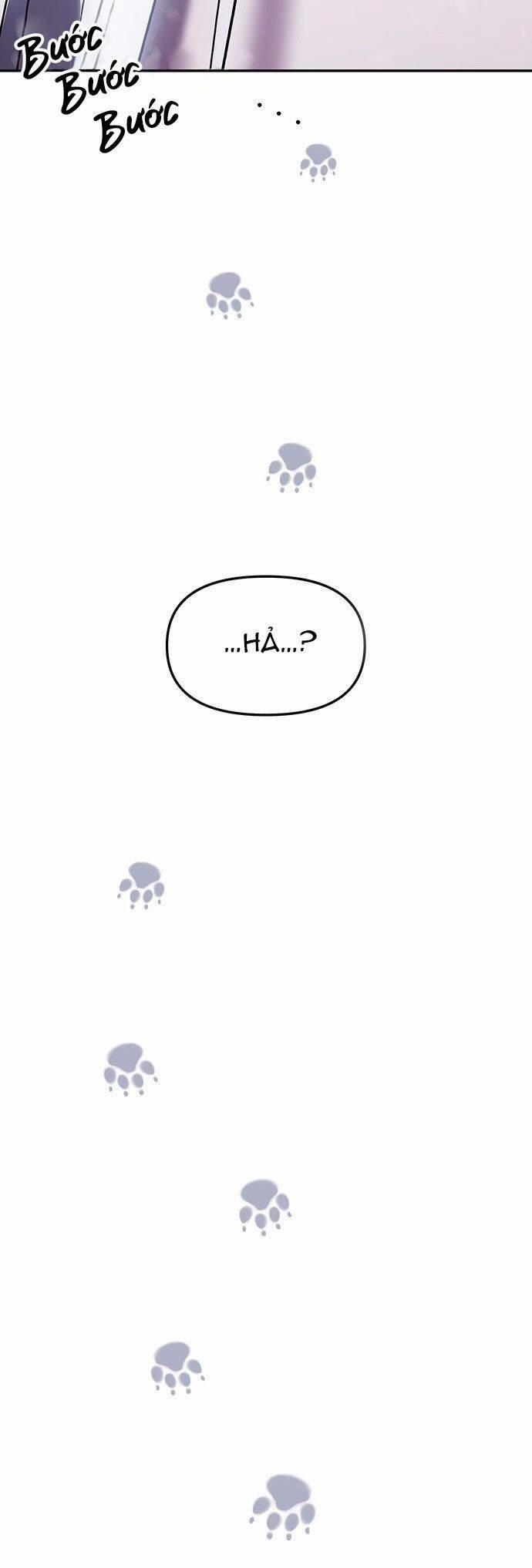 Vương Tử Huyền Bí 42 trang 20