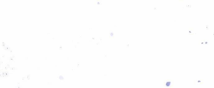 Vương Tử Huyền Bí 44 trang 47