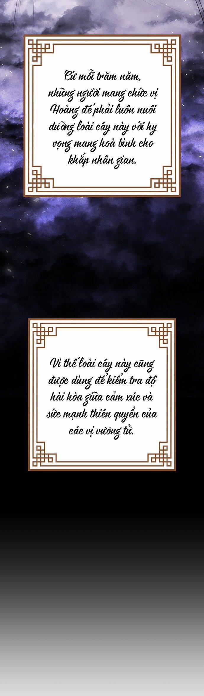 Vương Tử Huyền Bí 45 trang 105