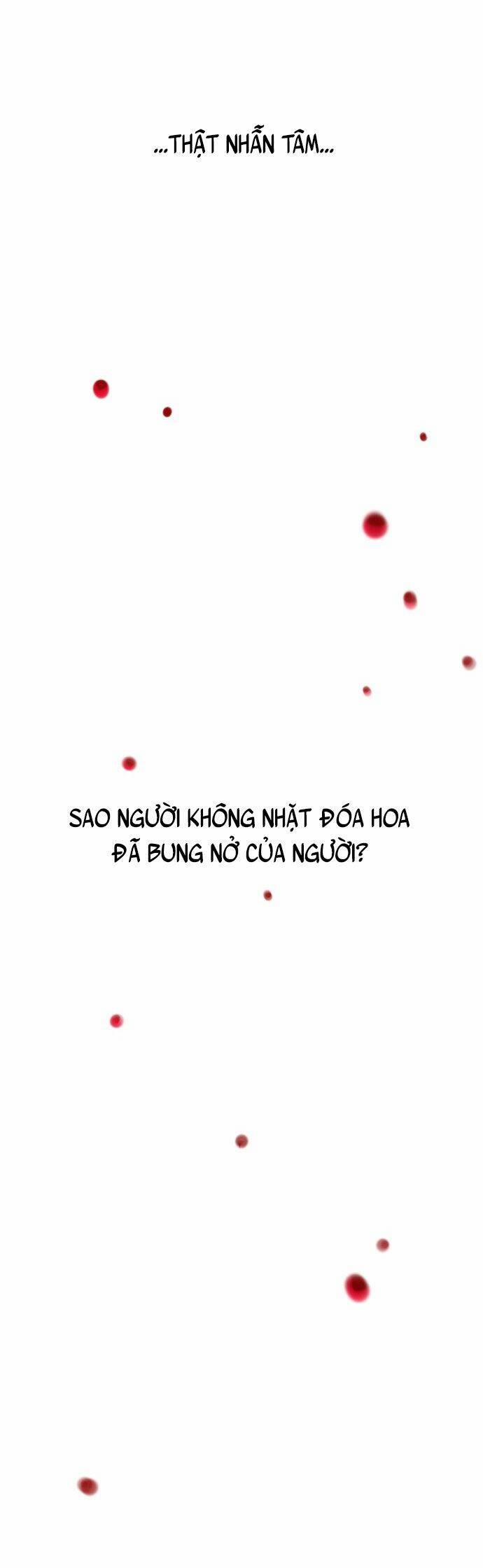 Vương Tử Huyền Bí 50 trang 21