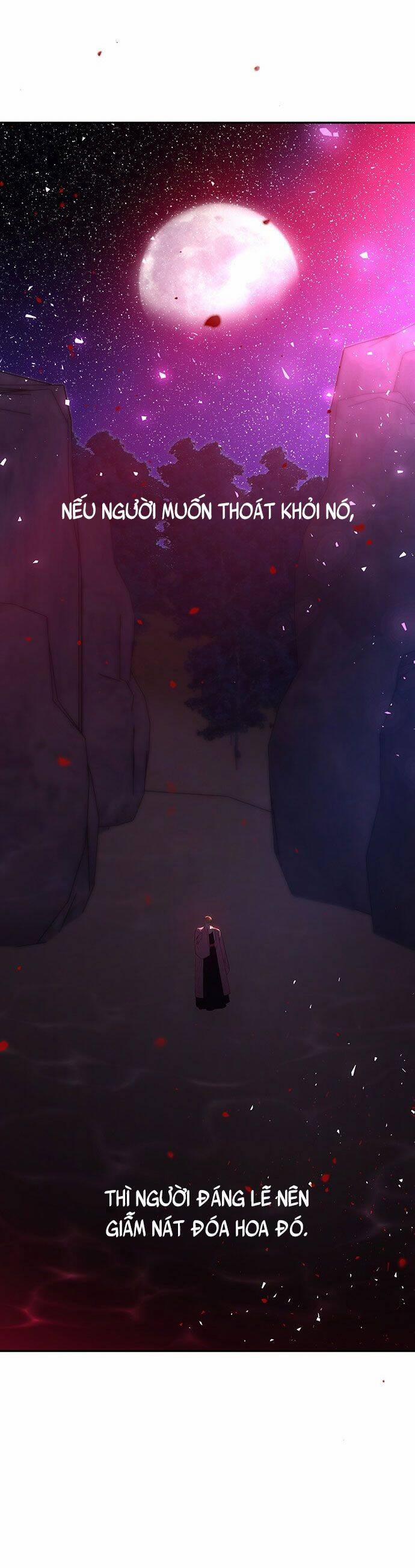 Vương Tử Huyền Bí 50 trang 22