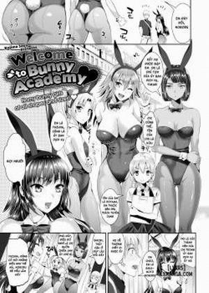 Welcome to Bunny Academy