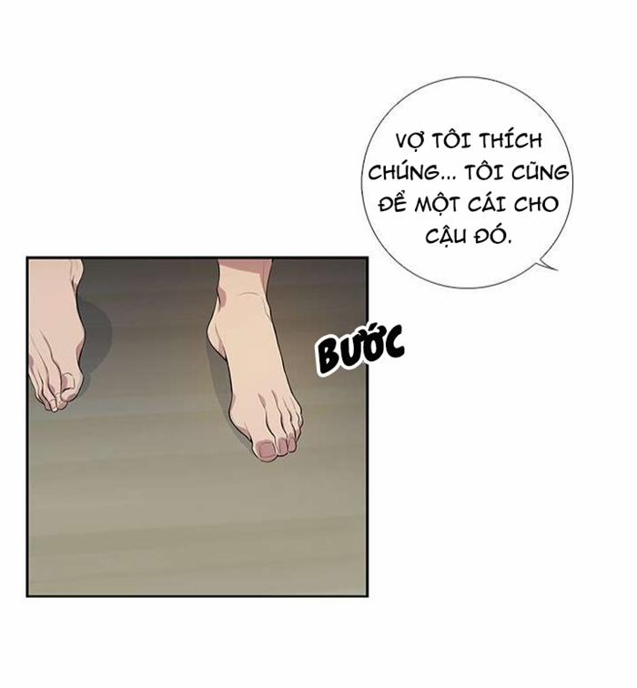 Why It Is You? 1 trang 8