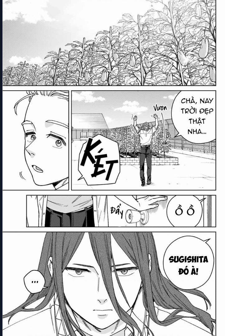 Wind Breaker (Nii Satoru) 168 trang 1