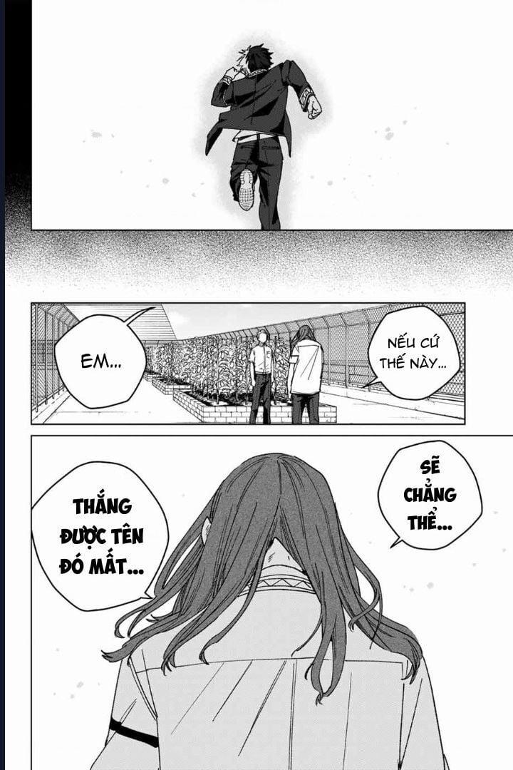 Wind Breaker (Nii Satoru) 168 trang 16