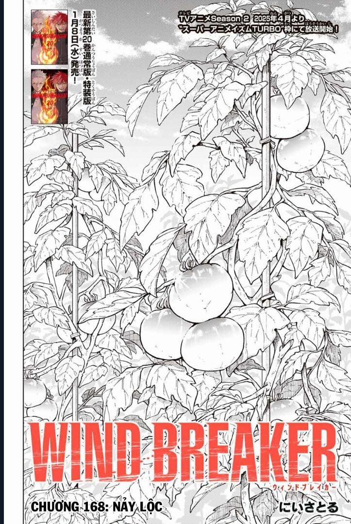 Wind Breaker (Nii Satoru) 168 trang 2