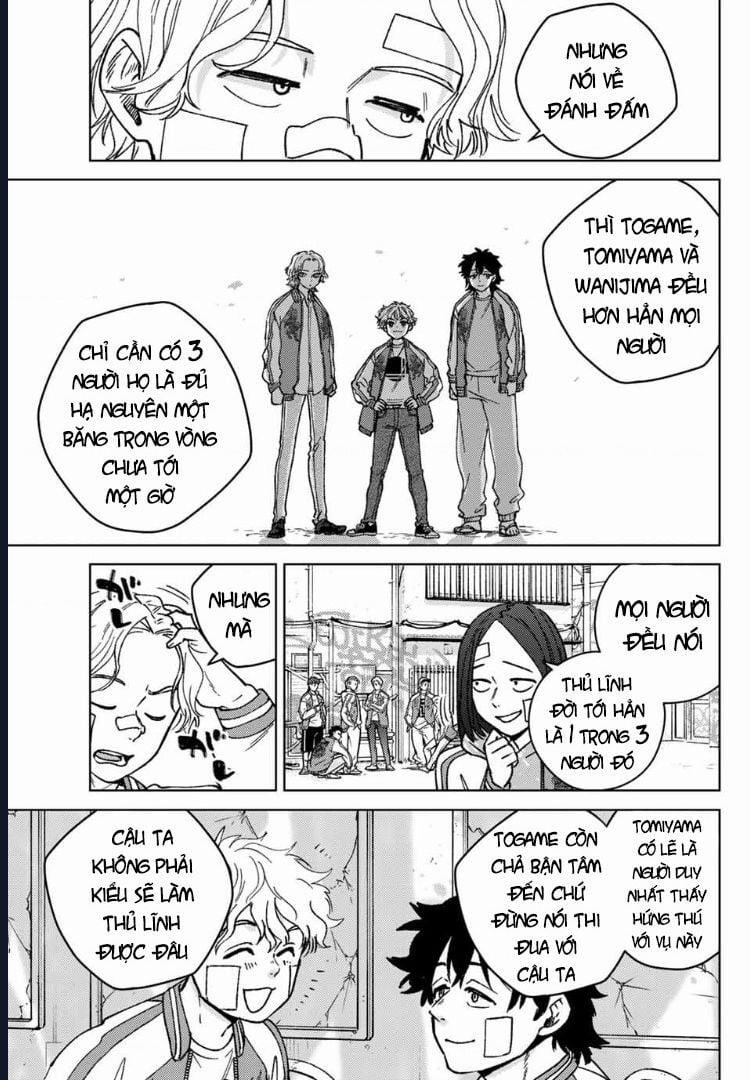 Wind Breaker (Nii Satoru) 172.5 trang 8