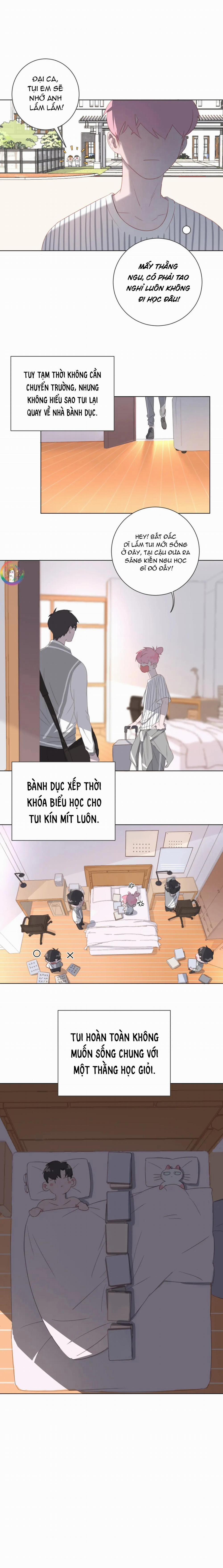 Xã Hội Mồn Lèo 15 trang 1