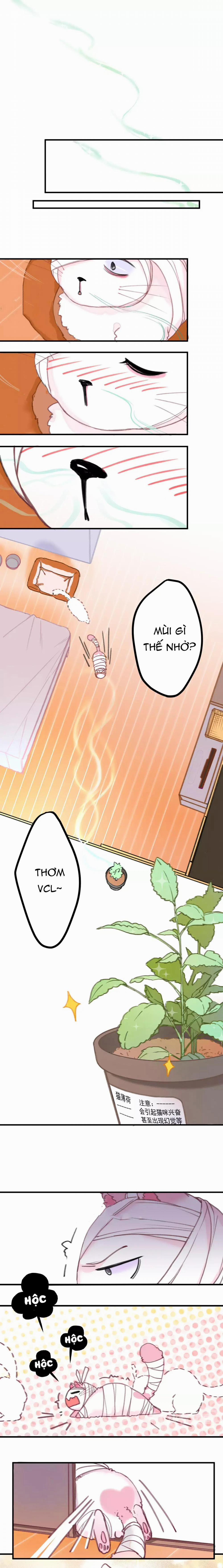 Xã Hội Mồn Lèo 3 trang 4