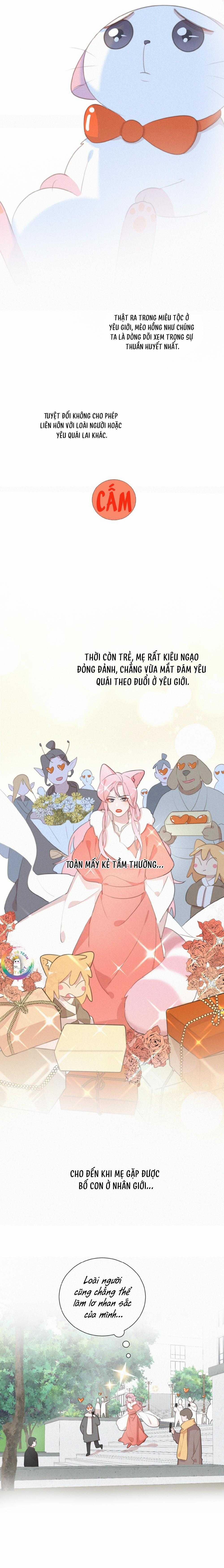 Xã Hội Mồn Lèo 77 trang 3