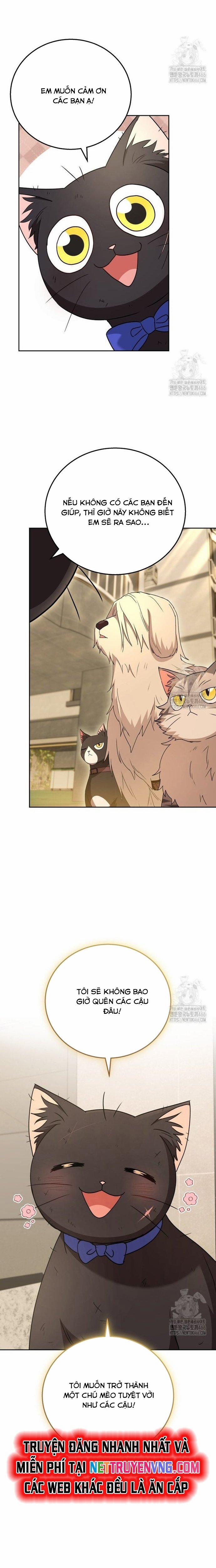 Xin Chào! Bác Sĩ Thú Y 78 trang 6