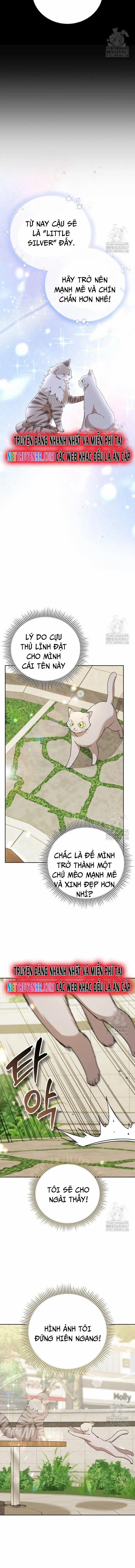 Xin Chào! Bác Sĩ Thú Y 81 trang 2