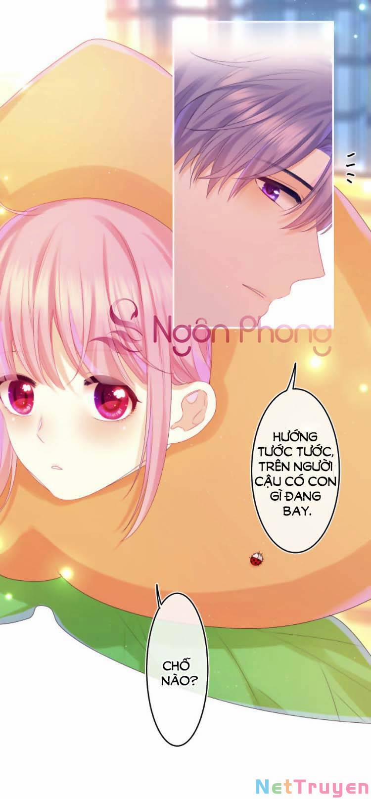 Xin Chào, Bạn Học Thụ Động 41 trang 6