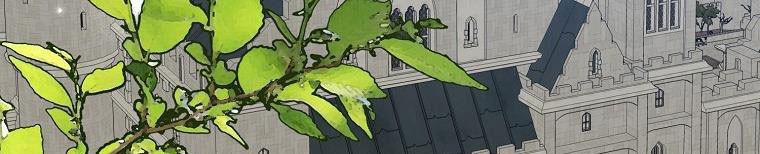 Xin Hãy Kết Hôn Với Em 38.5 trang 196