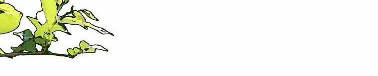 Xin Hãy Kết Hôn Với Em 38.5 trang 198