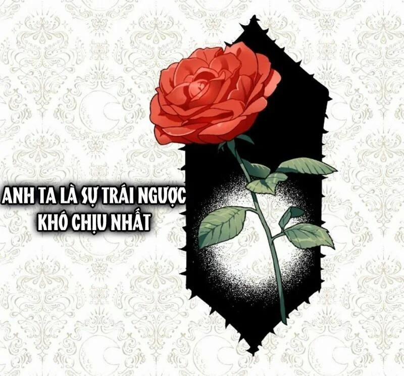 Xin Ngài Đừng Ăn Tôi 6 trang 11