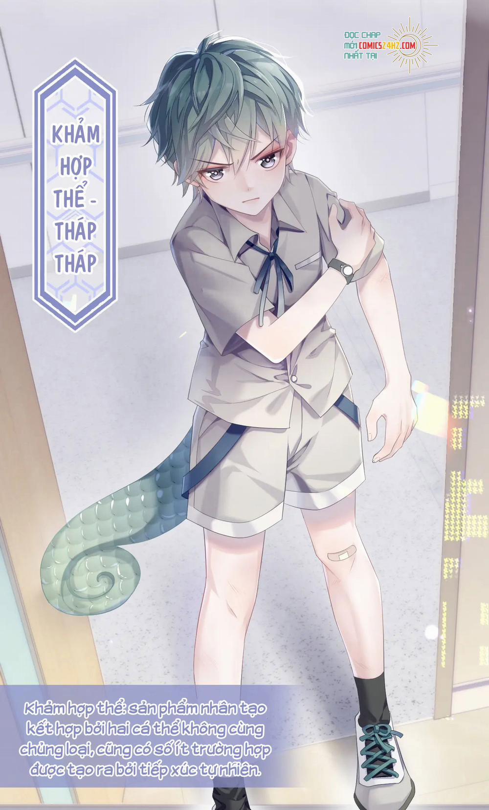 Xin Phép Ly Hôn 33 trang 14