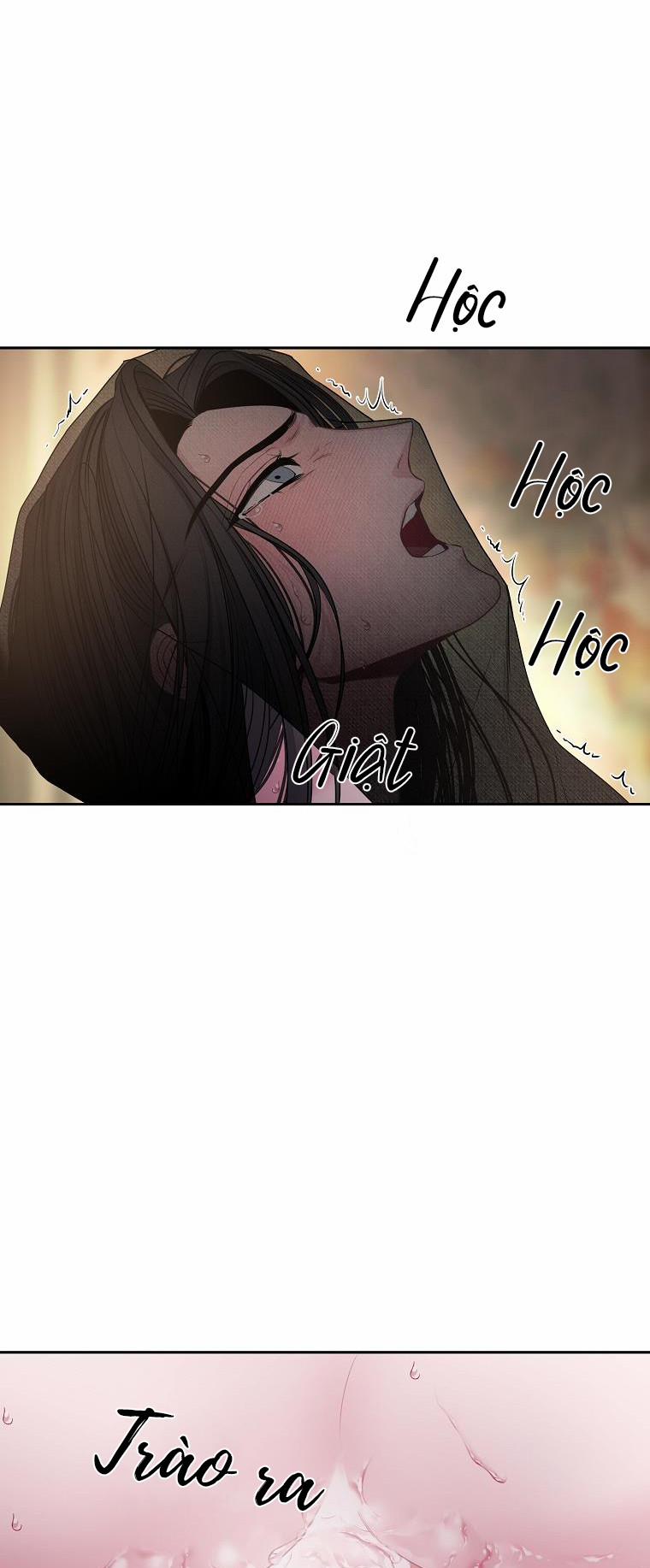 Xuân Phong Viên Mãn 17.5 trang 3