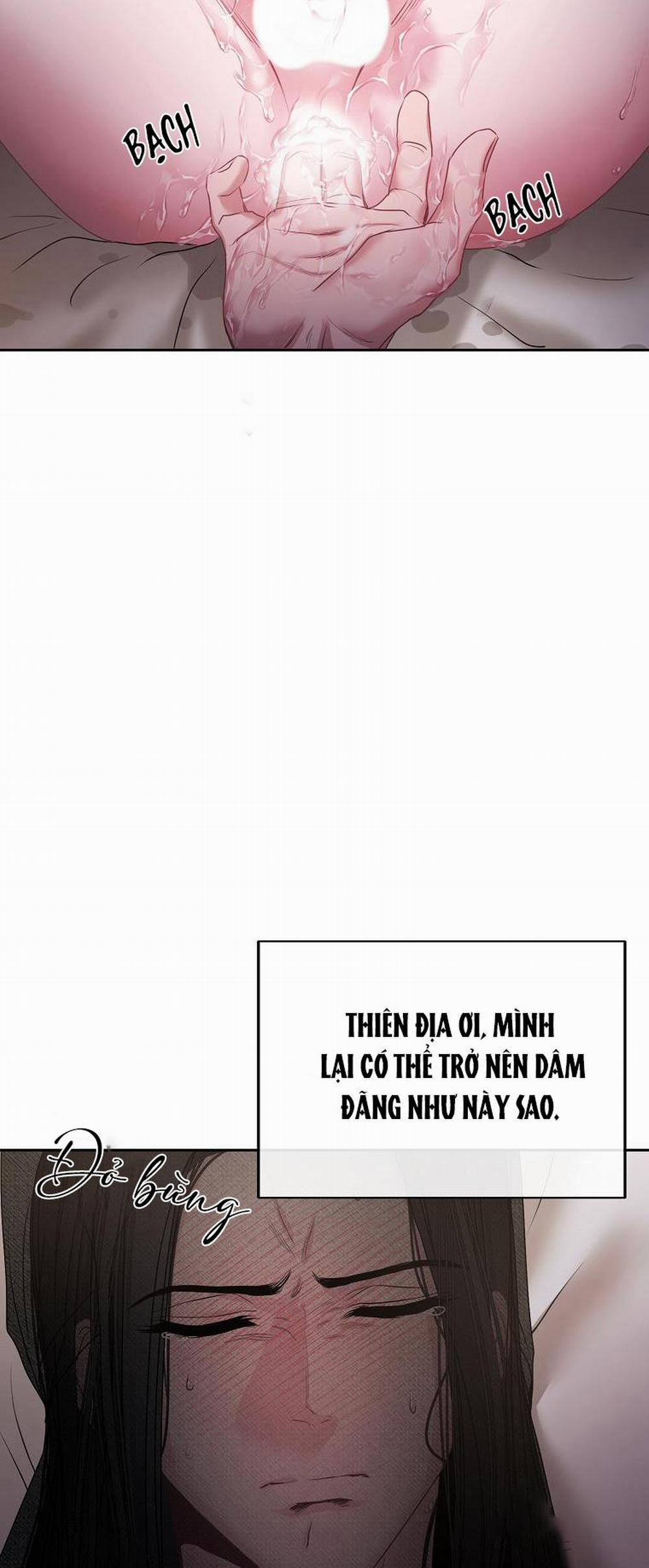 Xuân Phong Viên Mãn 17 trang 29