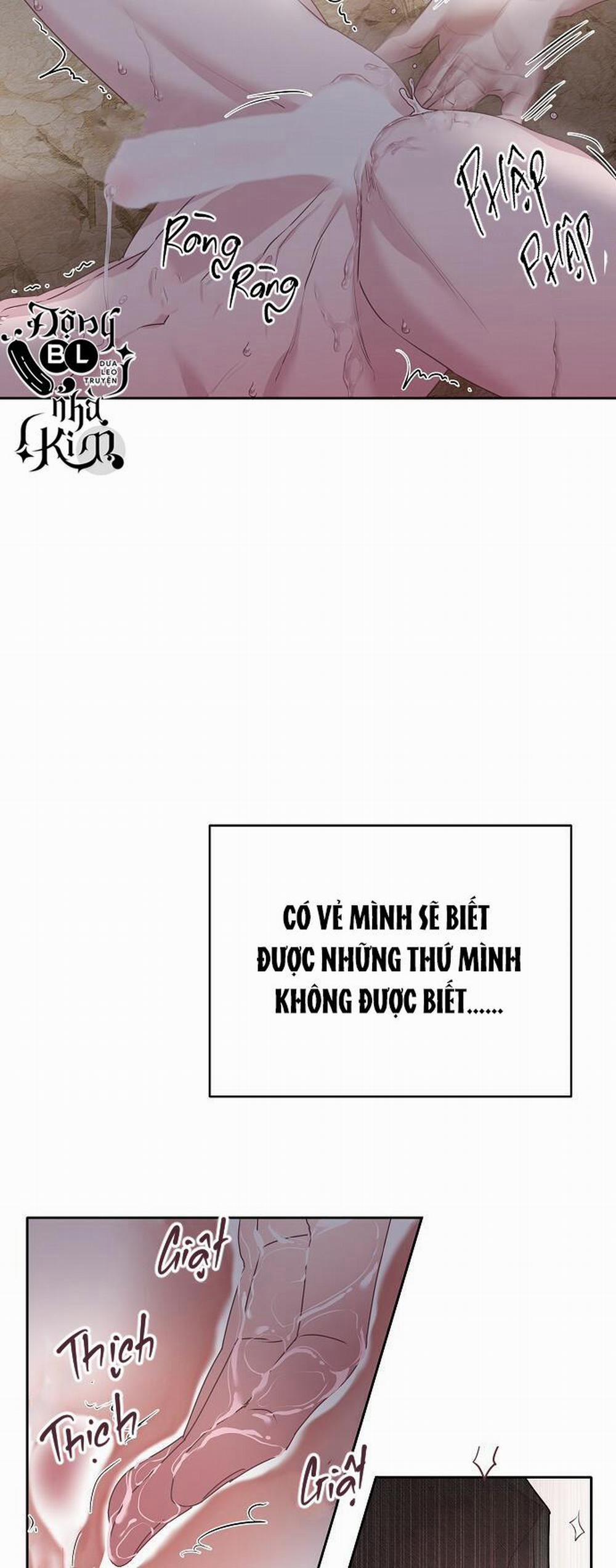 Xuân Phong Viên Mãn 22 trang 45