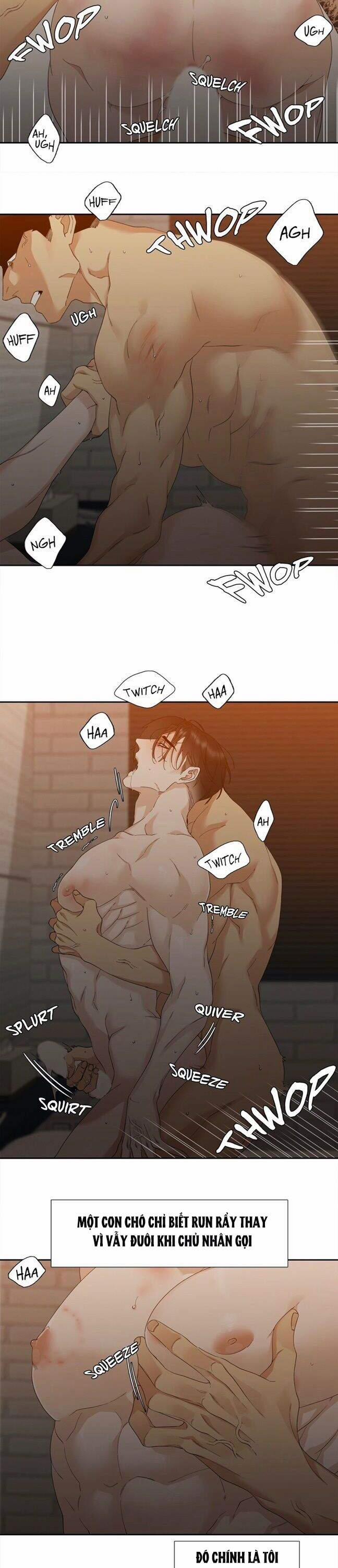 Xúc Cảm Điên Cuồng 11 trang 13