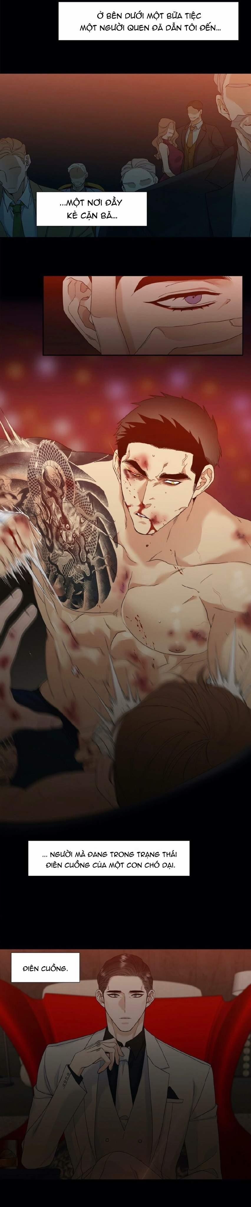 Xúc Cảm Điên Cuồng 8 trang 17