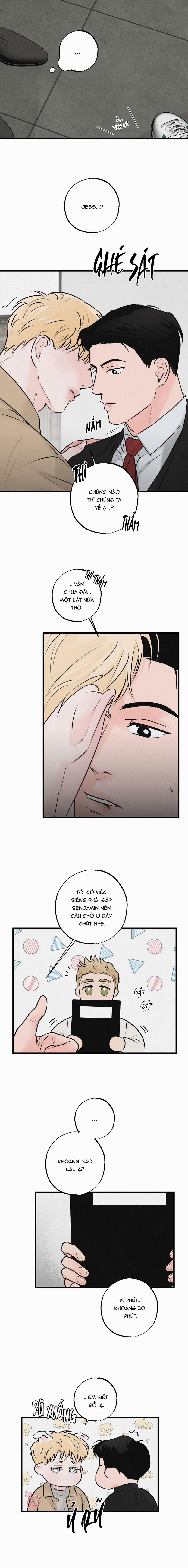 Xứng Đôi Vừa Lứa 11 trang 7