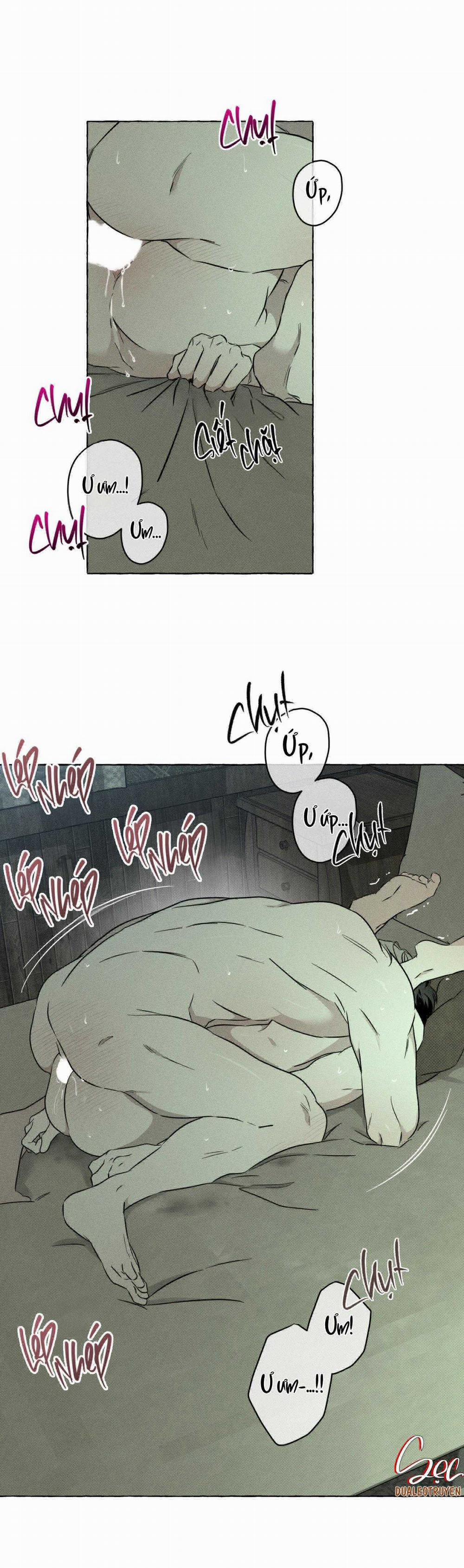 Xương Và Cánh Hoa 34 trang 12