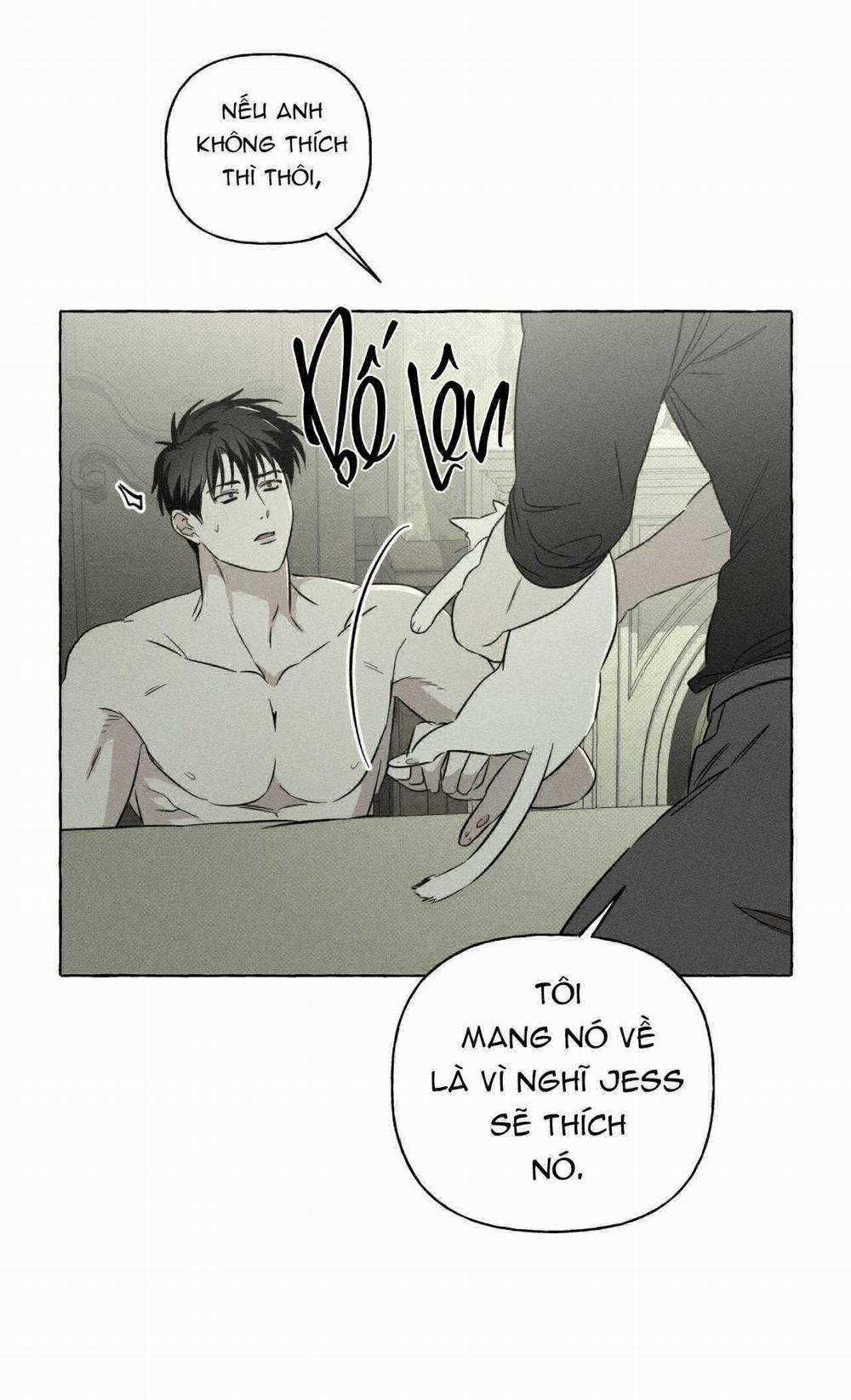 Xương Và Cánh Hoa 39 trang 13