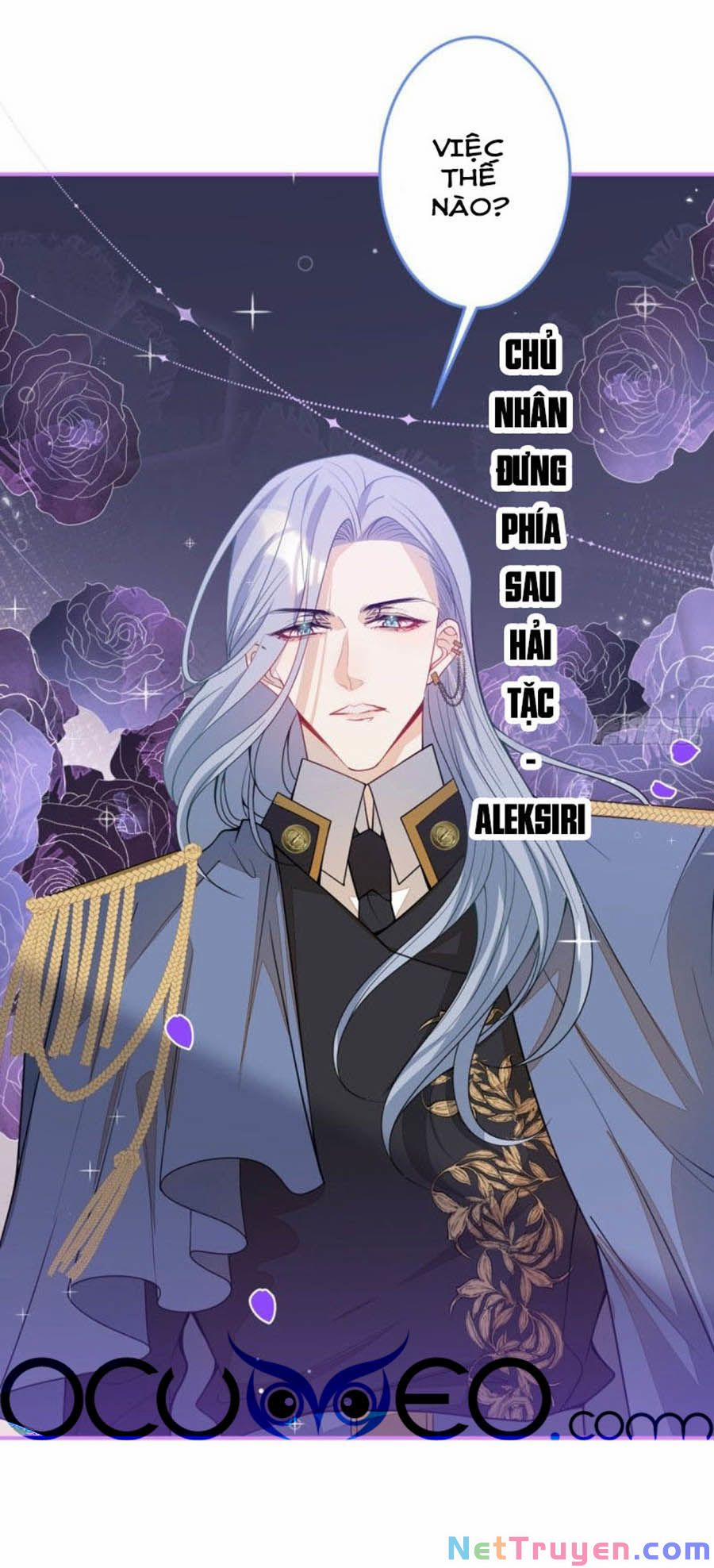 Xuyên Không Đến Thế Giới Trở Thành Đóa Hoa Của Anh 11 trang 12