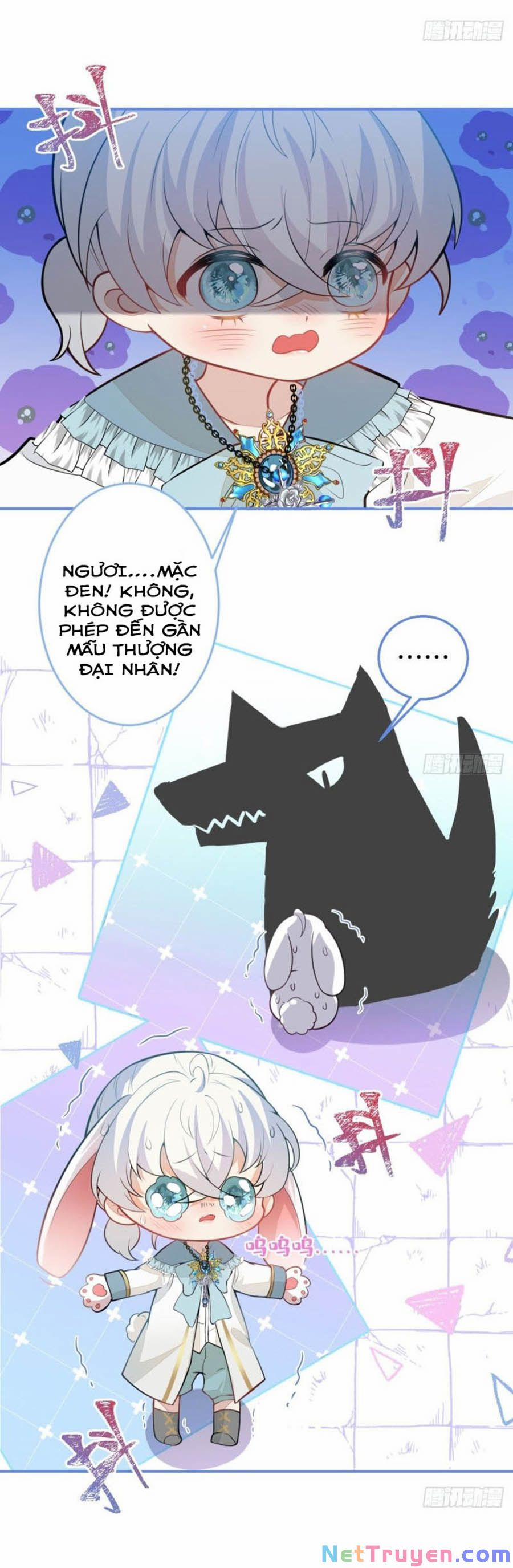 Xuyên Không Đến Thế Giới Trở Thành Đóa Hoa Của Anh 11 trang 3