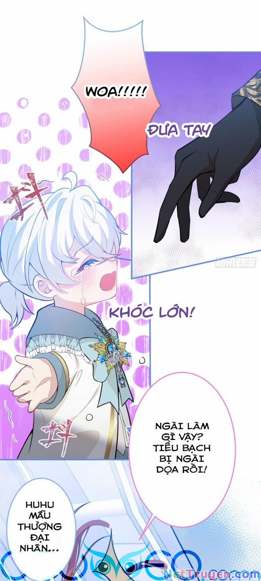 Xuyên Không Đến Thế Giới Trở Thành Đóa Hoa Của Anh 11 trang 4