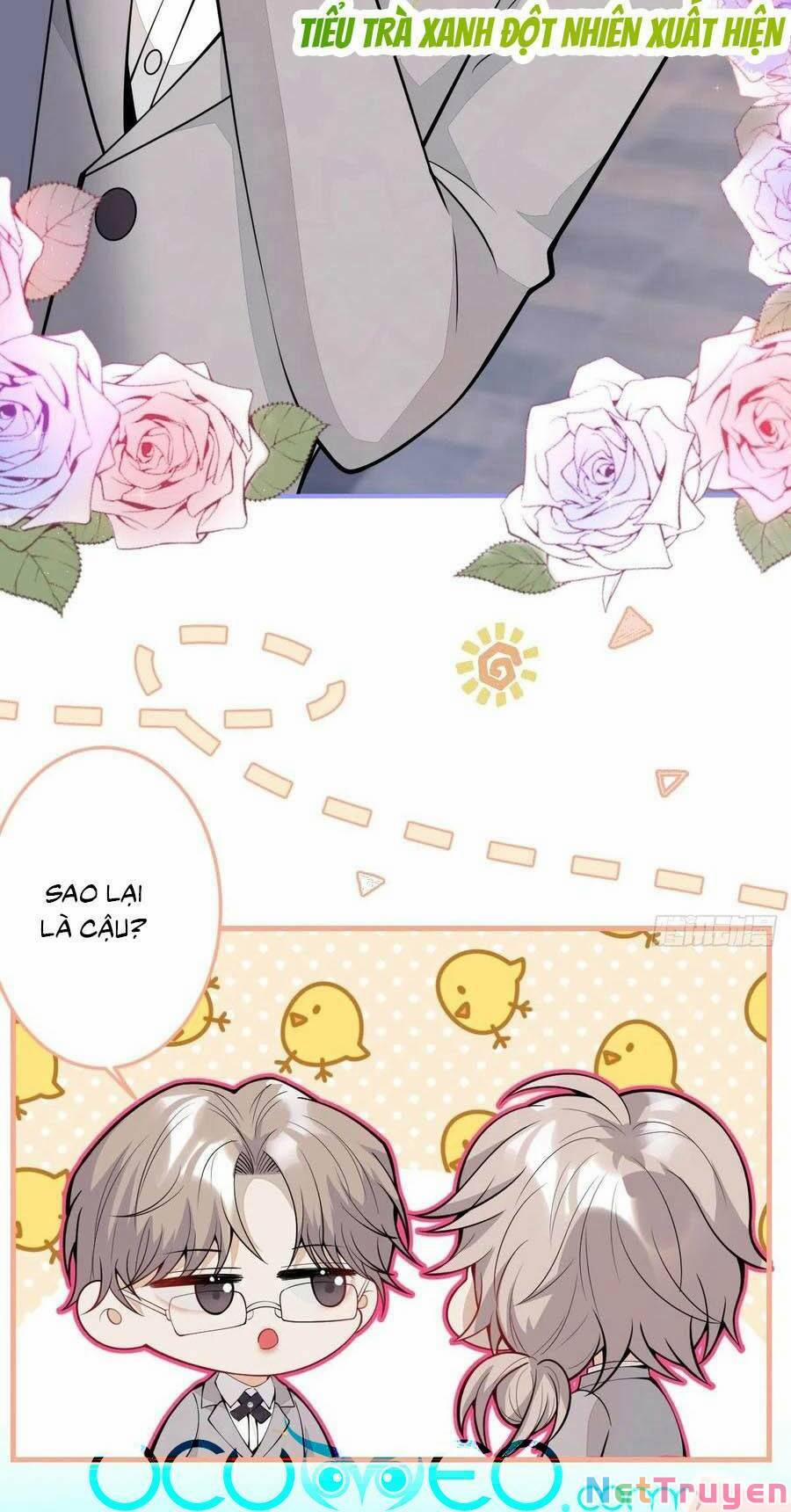 Xuyên Không Đến Thế Giới Trở Thành Đóa Hoa Của Anh 37 trang 17