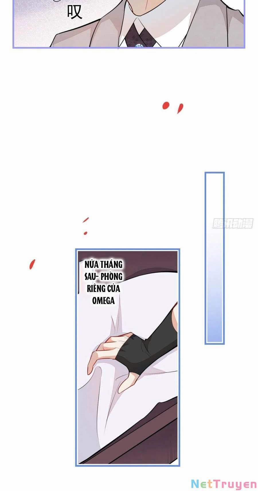 Xuyên Không Đến Thế Giới Trở Thành Đóa Hoa Của Anh 38 trang 17