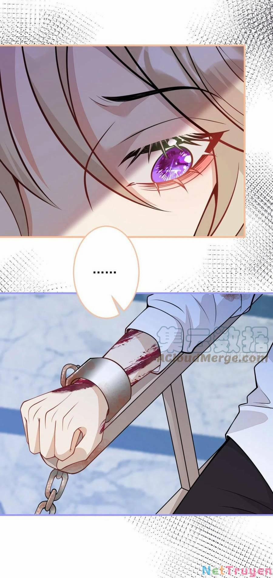 Xuyên Không Đến Thế Giới Trở Thành Đóa Hoa Của Anh 43 trang 10