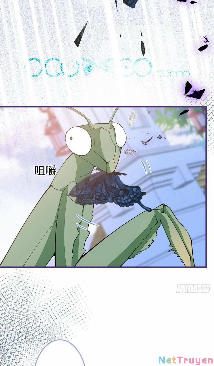 Xuyên Không Đến Thế Giới Trở Thành Đóa Hoa Của Anh 43 trang 5