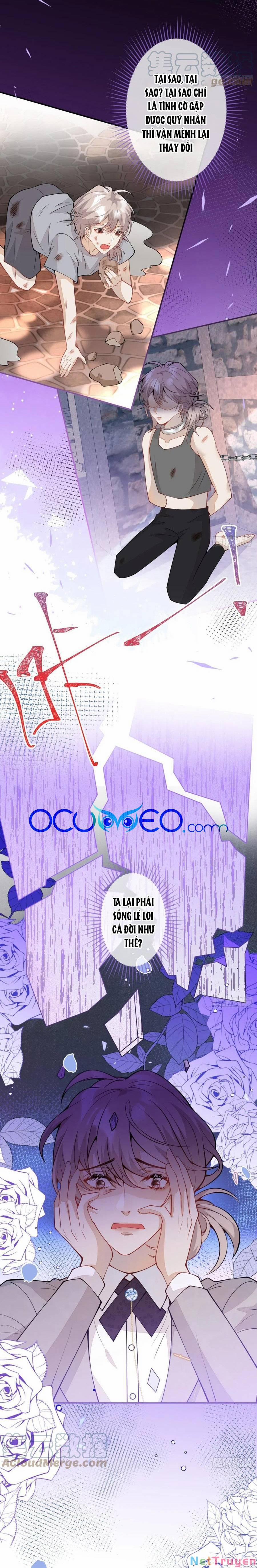 Xuyên Không Đến Thế Giới Trở Thành Đóa Hoa Của Anh 45 trang 10