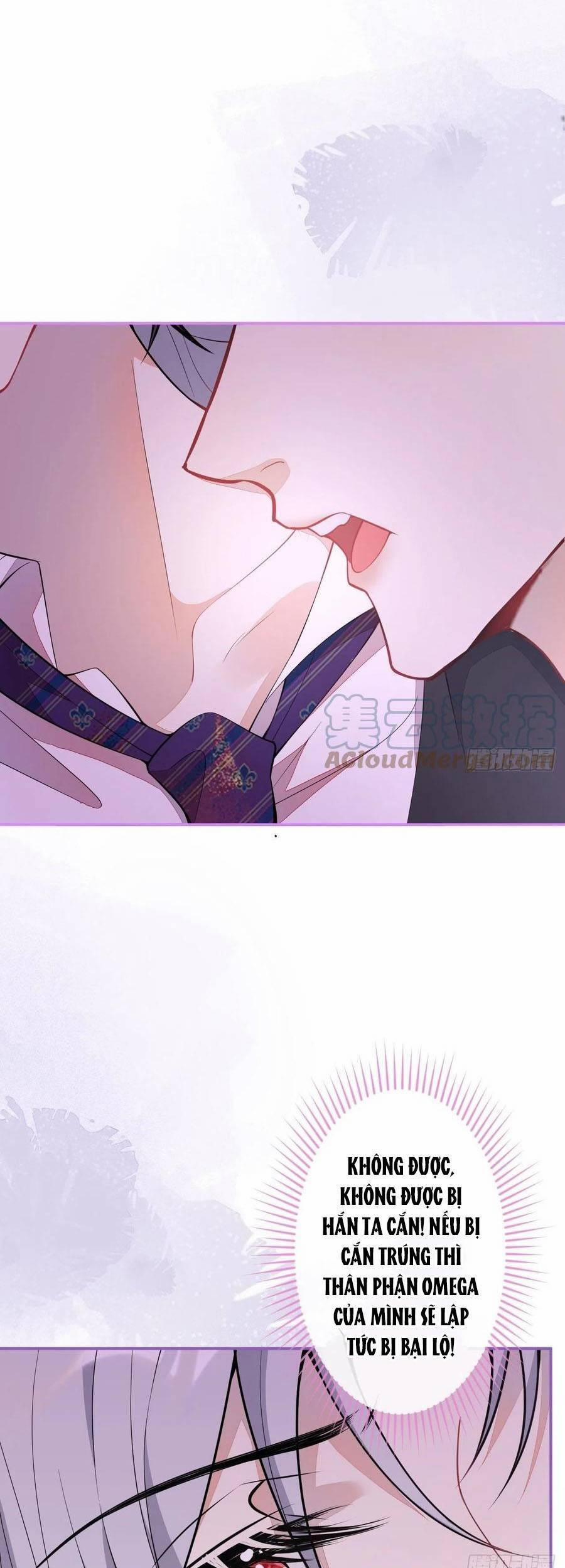 Xuyên Không Đến Thế Giới Trở Thành Đóa Hoa Của Anh 51 trang 7