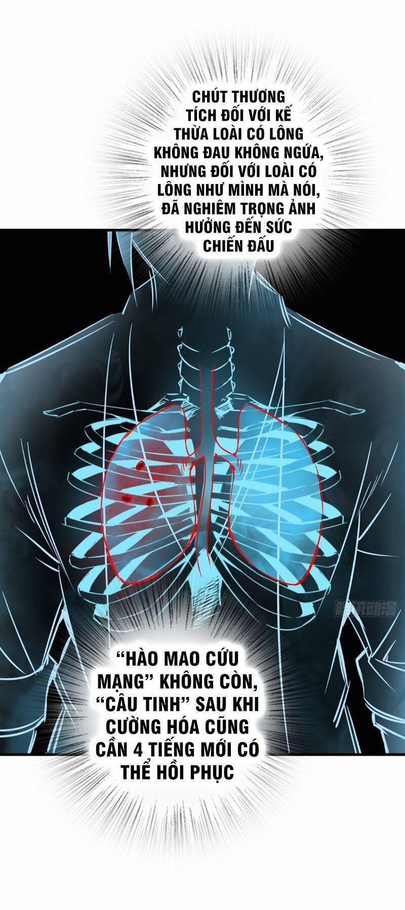 Xuyên Không Thành Chim 104 trang 15